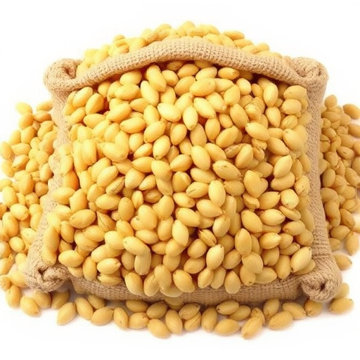 Large bulk sack of sunflower hearts