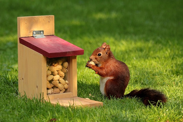 Large sack of peanuts for birds