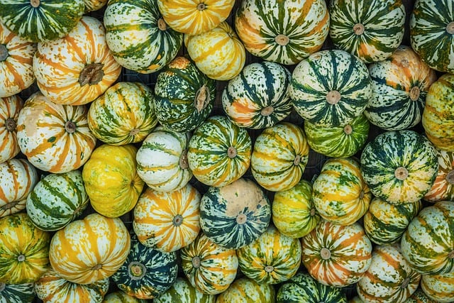Large variety of seeds on display