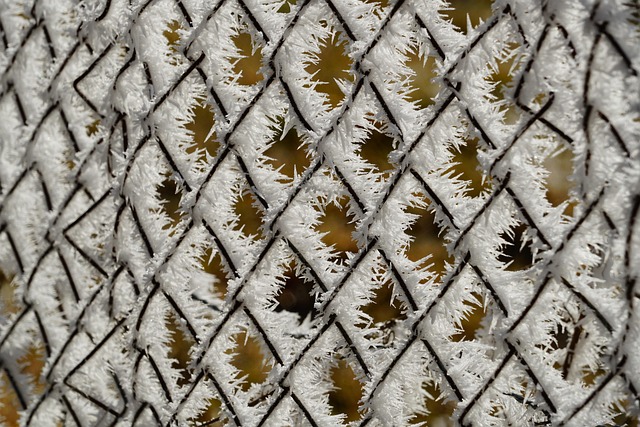 Mealworm feeder with protective wire mesh
