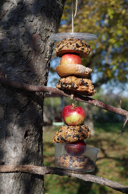 Mealworms served in low bird feeder