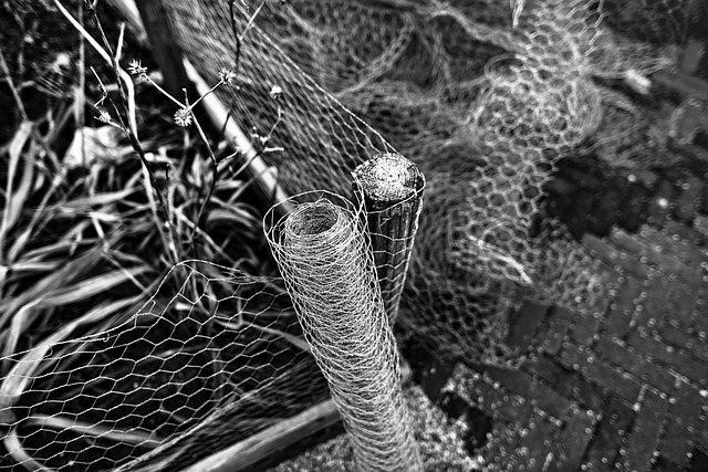 Mesh cage feeder filled with mealworms