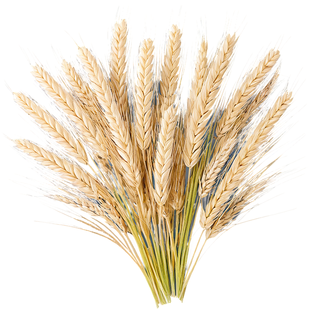 Mixed bird seed blend without wheat