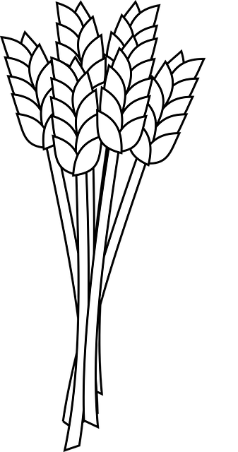 Mixed bird seed blend without wheat