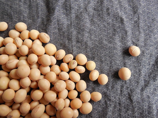Mixed seed scattered on feeding tray