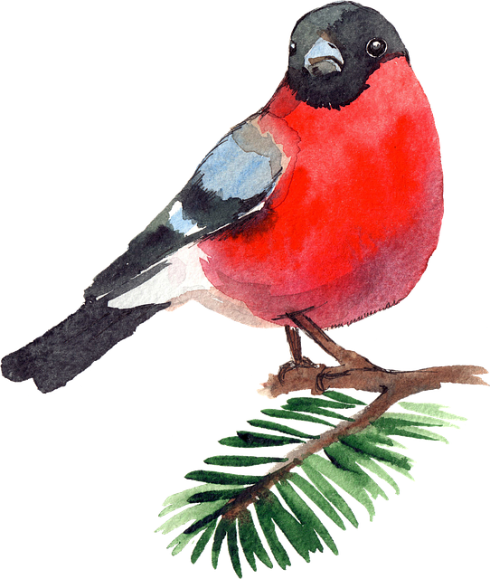 Mixed seeds on a wooden bird table