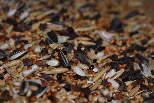 Mixed seeds scattered on garden lawn