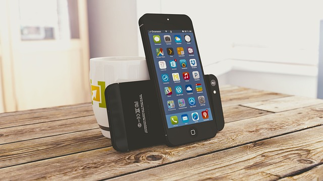 Mobile phone browsing bird seed deals