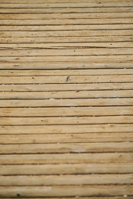 Nesting material scattered on ground