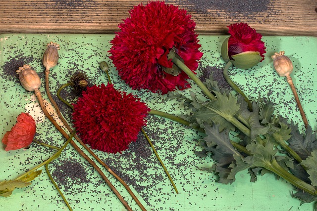 No-grow seed mix on garden tray