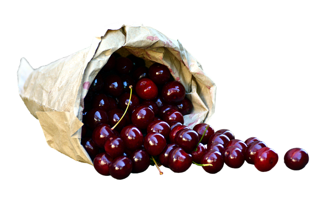 No-mess seed mix in large bags