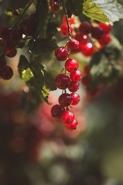 Feeding Birds in Autumn: UK Diet Secrets Revealed