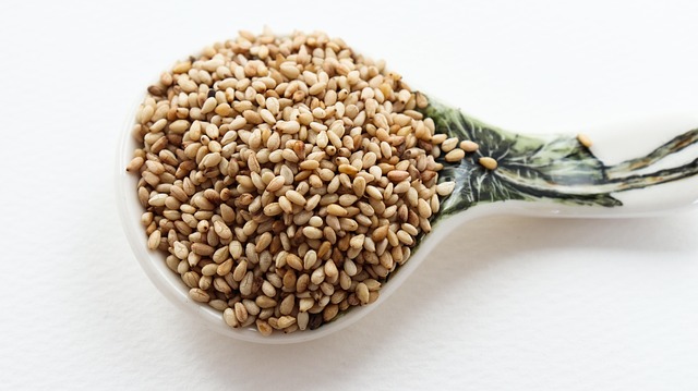 Unlock Savings: Best Price Bird Food Subscription Secrets