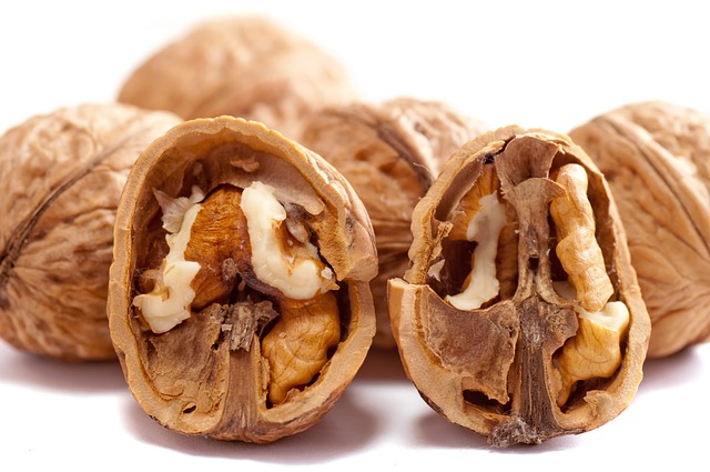 Nutritional Advantages: Bird Seed Without Wheat