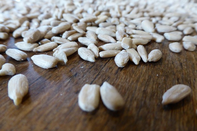 Finding Affordable Bird Seed in the UK: Top Picks and Tips