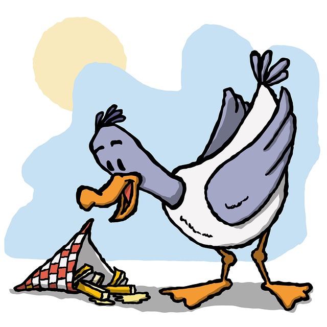 Streamline Your Feed: Bird Food Home Delivery Services