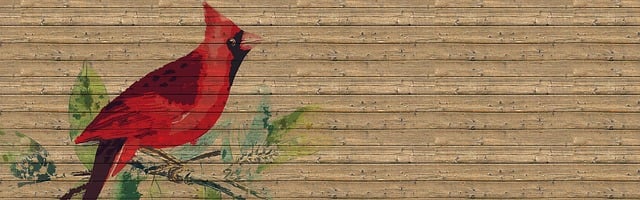 Unveiling UK's Top Bird Seed Retailers for Quality Feeds