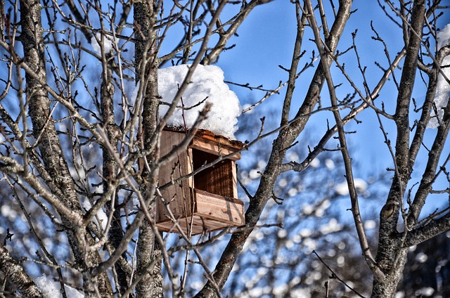 Best Bird Boxes UK: Top Picks for 2025 Guide