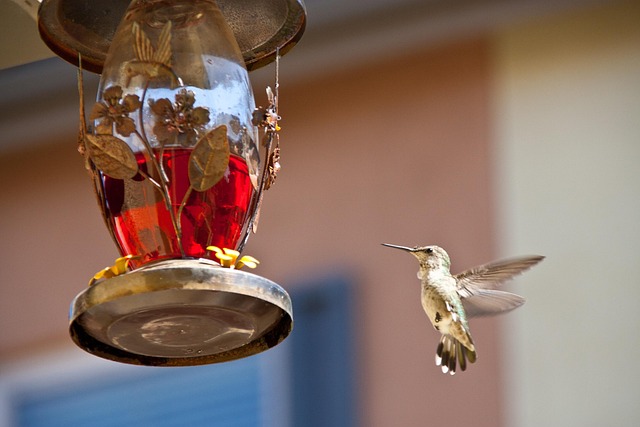 Crafting Top Bird Food Mix for Small Yard Feathered Friends