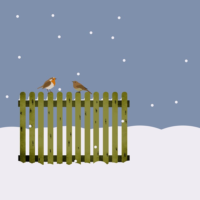 Unveiling Robin Survival Secrets During Winter's Long Duration