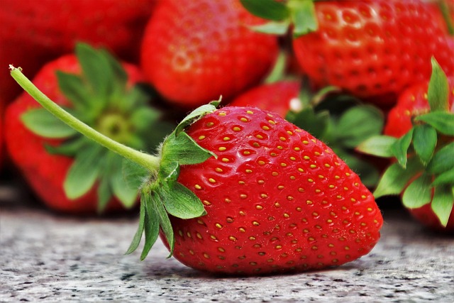 Discover Creative Uses for Different Types of Bird Seed