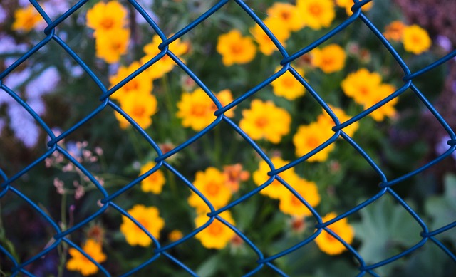 Rat-Proof Bird Feeder: Tips for Natural Deterrence &amp; Safety