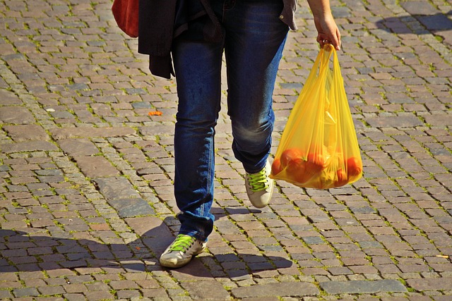 Unleash Cost-Effective Bird Feeding in London's Cheapest Markets