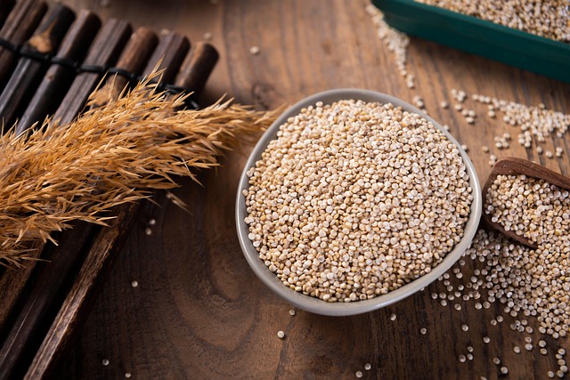 Uncover Inexpensive Bird Seed Sources for Savings