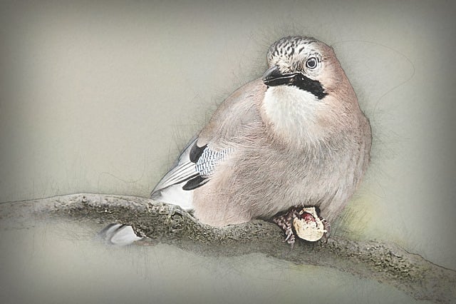 Attract UK Garden Birds: Fruits, Seeds, Natural Foods