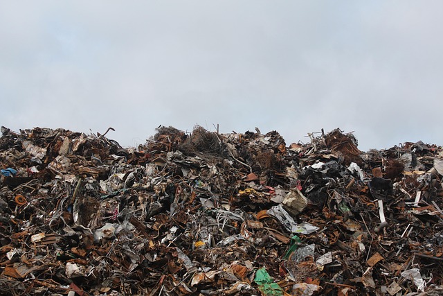 Feed Birds Safely: Avoid Harmful Human Foods