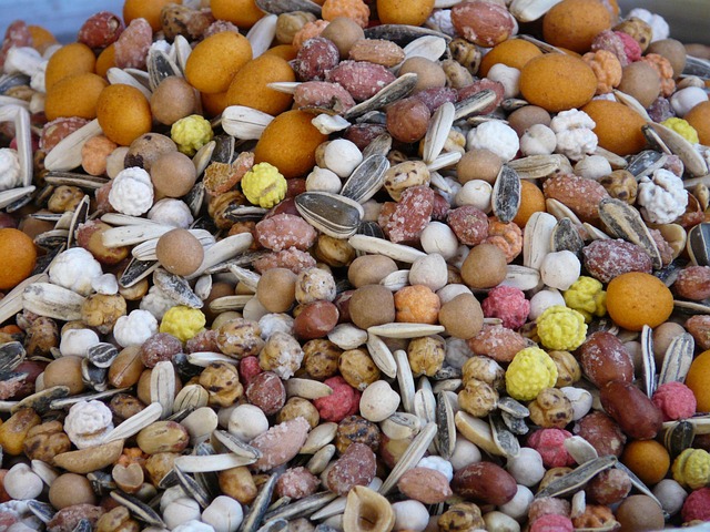 UK Wild Bird Food: Online Guide to Species-Specific Feed
