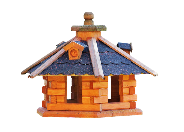 Best Value Suet Pellets for Birds: Top Picks and Guide