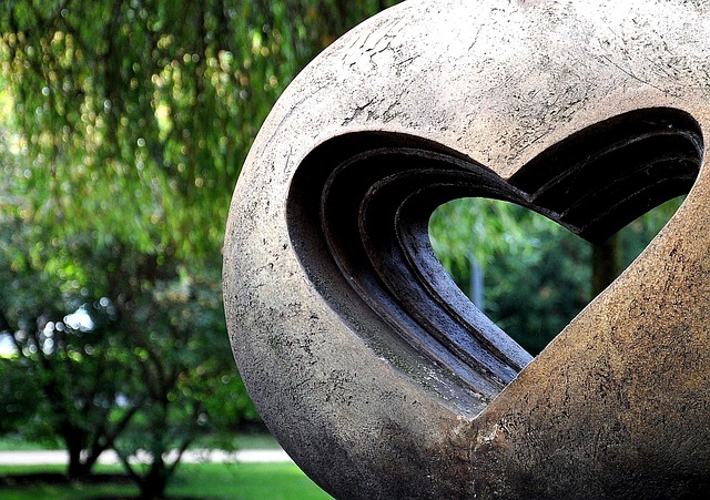 Sunflower Hearts: Nourishing Small Birds in Gardens