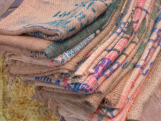 Buy Bird Seed Online: Guide to Fresh, Quality Choices