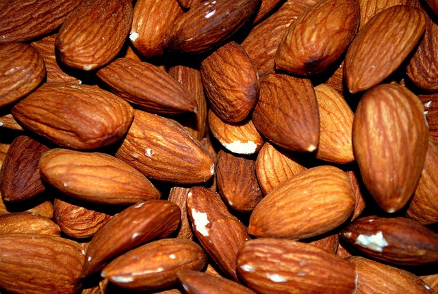 Cheap Bird Seed UK: Top Retailers and Natural Choices Reviewed