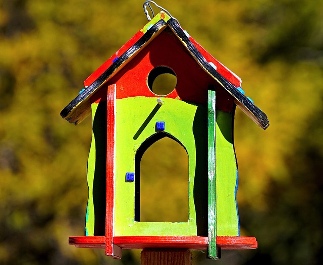 Attract Birds All Winter with High-Energy Food Choices