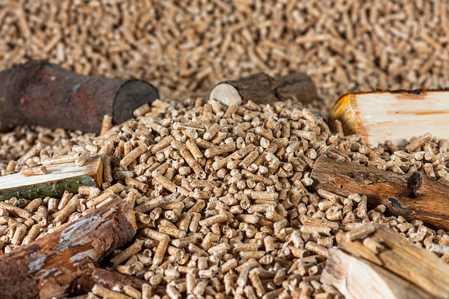 Affordable Bulk Suet Pellets for Birds: Online Sources and DIY Tips