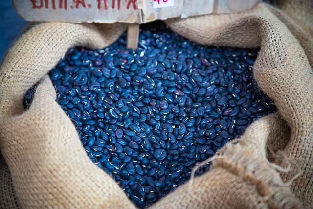 Free Home Delivery: Nourish Birds Effortlessly