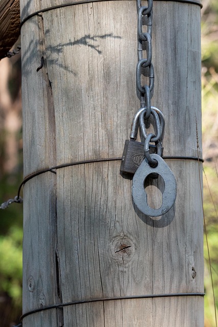 Discovering the Best Bird Boxes: Design &amp; Features Guide