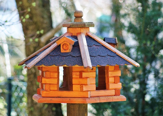 Save Money on Bird Feeding Stations: Free UK Delivery &amp; New Arrivals