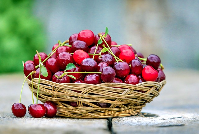 Feeding Tips: Nurture Wild Birds with Best Natural Diet
