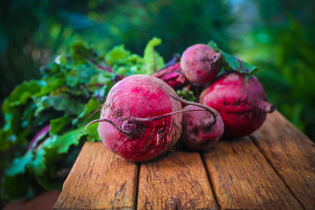Seasonal Tips: Best Food to Feed Wild Birds Year-Round