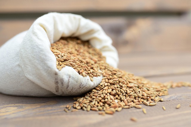 Guide to Bulk Buying Sunflower Hearts in the UK
