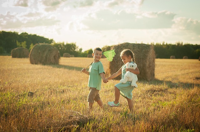 Unleash Health &amp; Joy: Buy Sunflower Hearts UK