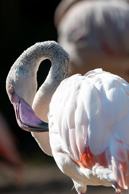 Crafting Ideal UK Garden Bird Feeding Stations