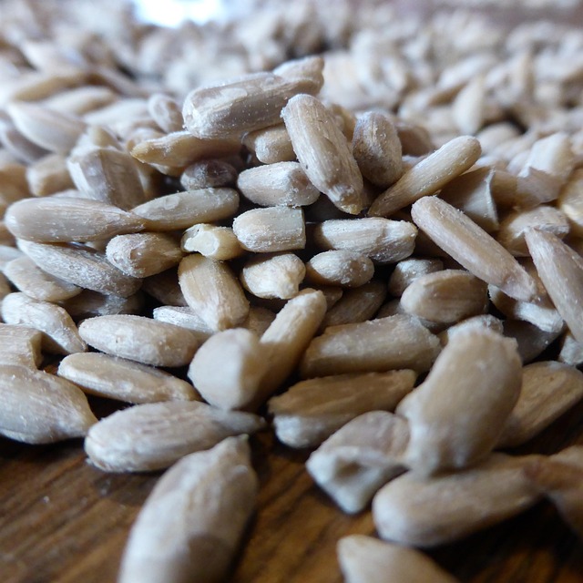 Affordable Bird Seed UK: Budget-Friendly Feeding Strategies