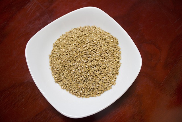 Transform Your Birds' Diet: High-Protein Mealworms Delivered Fast in the UK