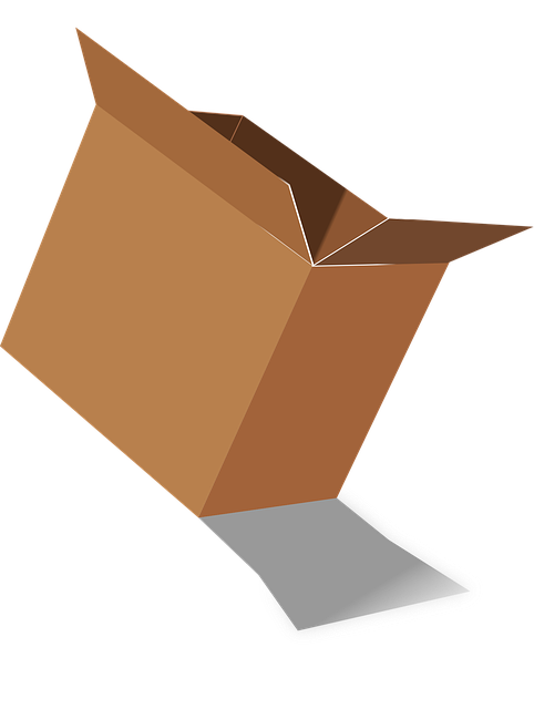 Unlock Convenience: Bird Food Subscription Box UK