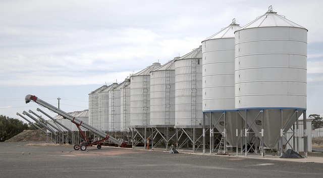 Choose Safe Bird Seed: Wheat-Free Options Explained