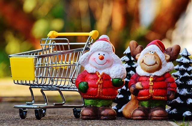 Online shop offering bird food delivery